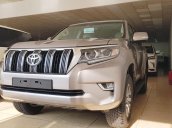 Bán xe Toyota Land Cruiser Prado VX năm sản xuất 2018, màu nâu mới 100%