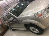 Cần bán Ford Everest sản xuất 2009, màu xám đẹp như mới, 455tr