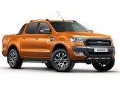 Chuyên bán các dòng xe Ford Ranger, màu cam