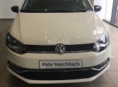 Cần bán xe Volkswagen Polo 1.6 AT năm sản xuất 2018, màu trắng, xe nhập