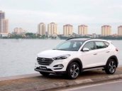 Bán Hyundai Tucson năm sản xuất 2018, màu trắng