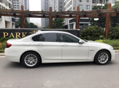 Cần bán xe BMW 5 Series sản xuất 2015 màu trắng