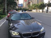 Cần bán lại xe BMW 5 Series 2.5 đời 2010, màu nâu, xe nhập  