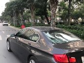 Cần bán lại xe BMW 5 Series 2.5 đời 2010, màu nâu, xe nhập  