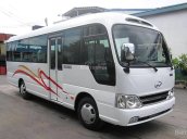 Hưng Thịnh Hyundai Đà Nẵng bán xe County SL, vừa mới xuất xưởng 2017