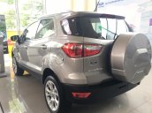 Khuyến mãi siêu khủng Ford Ecosport 2018