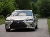 Bán ô tô Lexus ES 250 sản xuất năm 2018, màu vàng, xe nhập