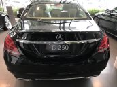 Cần bán xe Mercedes C250 sản xuất năm 2018