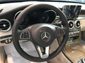 Cần bán xe Mercedes C250 sản xuất năm 2018