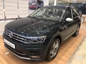 Nơi bán Volkswagen Tiguan Allspace, Volkswagen Tiguan Allspace trắng, đen, đỏ, lô 30 xe đủ màu, LH 0988683129