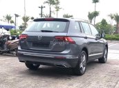 Nơi bán Volkswagen Tiguan Allspace, Volkswagen Tiguan Allspace trắng, đen, đỏ, lô 30 xe đủ màu, LH 0988683129