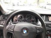 Bán ô tô BMW 5 Series 520i sản xuất năm 2015