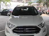 * Hot * Chỉ cần 250tr sỡ hữu ngay xe Ford Ecosport