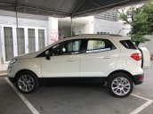 * Hot * Chỉ cần 250tr sỡ hữu ngay xe Ford Ecosport