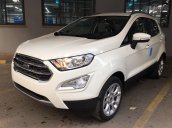 Ford Ecosport 1.0L EcoBoost 2018 - Xe giao ngay - Hỗ trợ trả góp 85% - Hotline 090 628 3959 / 096 381 5558