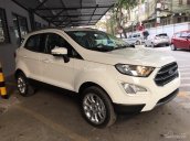 Ford Ecosport 1.0L EcoBoost 2018 - Xe giao ngay - Hỗ trợ trả góp 85% - Hotline 090 628 3959 / 096 381 5558