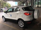 Ford Ecosport 1.0L EcoBoost 2018 - Xe giao ngay - Hỗ trợ trả góp 85% - Hotline 090 628 3959 / 096 381 5558