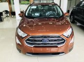 Bán Ford Ecosport 2019, combo KM tiền mặt + PK BHVC - Film cách nhiệt - Camera hành trình - Bệ bước