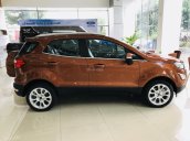 Bán Ford Ecosport 2019, combo KM tiền mặt + PK BHVC - Film cách nhiệt - Camera hành trình - Bệ bước