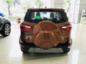 Bán Ford Ecosport 2019, combo KM tiền mặt + PK BHVC - Film cách nhiệt - Camera hành trình - Bệ bước