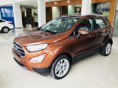 Bán Ford Ecosport 2019, combo KM tiền mặt + PK BHVC - Film cách nhiệt - Camera hành trình - Bệ bước