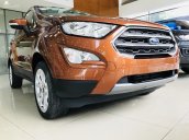 Bán Ford Ecosport 2019, combo KM tiền mặt + PK BHVC - Film cách nhiệt - Camera hành trình - Bệ bước