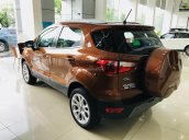 Bán Ford Ecosport 2019, combo KM tiền mặt + PK BHVC - Film cách nhiệt - Camera hành trình - Bệ bước