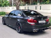 Bán BMW 5 Series 520i sản xuất 2016, màu nâu, nhập khẩu nguyên chiếc