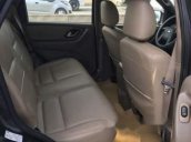 Chính chủ bán Ford Escape 2003, màu xám