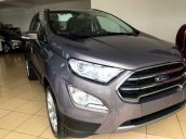 Cần bán Ford EcoSport đời 2018, màu xám