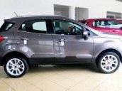 Cần bán Ford EcoSport đời 2018, màu xám