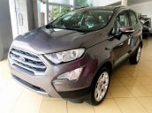 Cần bán Ford EcoSport đời 2018, màu xám