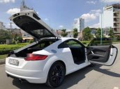 Cần bán gấp Audi TT đời 2016, màu trắng, nhập khẩu nguyên chiếc số tự động