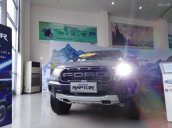 Bán ô tô Ford Ranger Raptor đời 2018, màu xám (ghi) nhập từ Thái