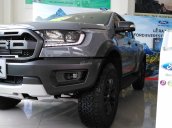 Bán ô tô Ford Ranger Raptor đời 2018, màu xám (ghi) nhập từ Thái