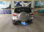 Gia đình bán Ford EcoSport Titanium đời 2017, màu xám