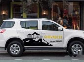 Bán Chevrolet Trailblazer đời 2018, màu trắng, xe nhập