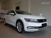 Bán Volkswagen Passat BM năm 2017, màu trắng, nhập khẩu, có sẳn giao ngay trong tháng 11