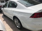 Bán Volkswagen Passat BM năm 2017, màu trắng, nhập khẩu, có sẳn giao ngay trong tháng 11