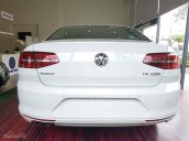 Bán Volkswagen Passat BM năm 2017, màu trắng, nhập khẩu, có sẳn giao ngay trong tháng 11