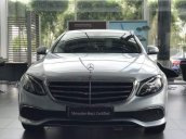 Bán xe Mercedes E200 năm 2018, màu bạc