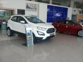 Bán Ford Ecosport Trend 2018 xe mới - Ford Đà Nẵng