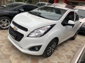 Bán Chevrolet Spark Duo Van 1.2 MT 2017, màu trắng, giá 220tr