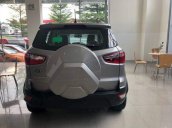 Bán xe Ford EcoSport Trend năm sản xuất 2018, màu bạc