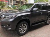 Bán Toyota Prado 2019, nhận đặc xe giao sớm nhất