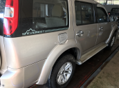 Bán xe Ford Everest 2010, màu vàng, xe gia đình