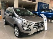 Bán xe Ford EcoSport Trend năm sản xuất 2018, màu bạc