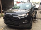 Bán xe Ford EcoSport MT 2018 ở Thái Bình, giảm kịch sàn, hỗ trợ vay đến 90% giá xe, sẵn xe