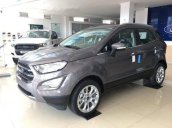 Bán xe Ford EcoSport đời 2018, màu xám, giá 620tr