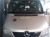 Cần bán gấp Mercedes Sprinter 2012, màu hồng, nhập khẩu còn mới